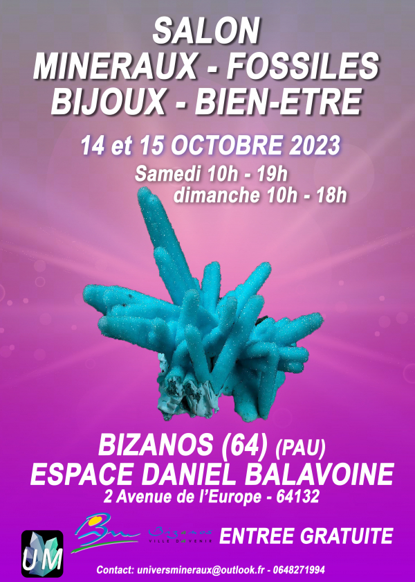 Mineraler, fossiler, designersmycken och välmående mässa.