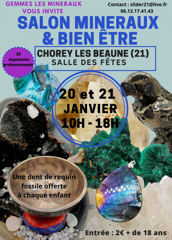 Mineraler, fossiler, meteoriter och välmående show