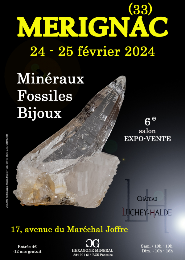 6:e salong mineraler fossiler smycken
