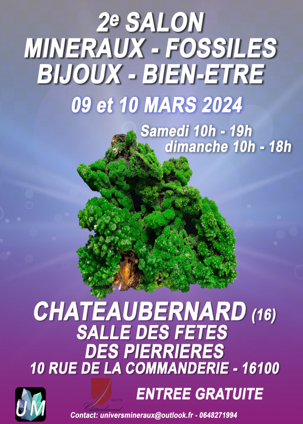 Mineraler, fossiler, designersmycken och välmående mässa.