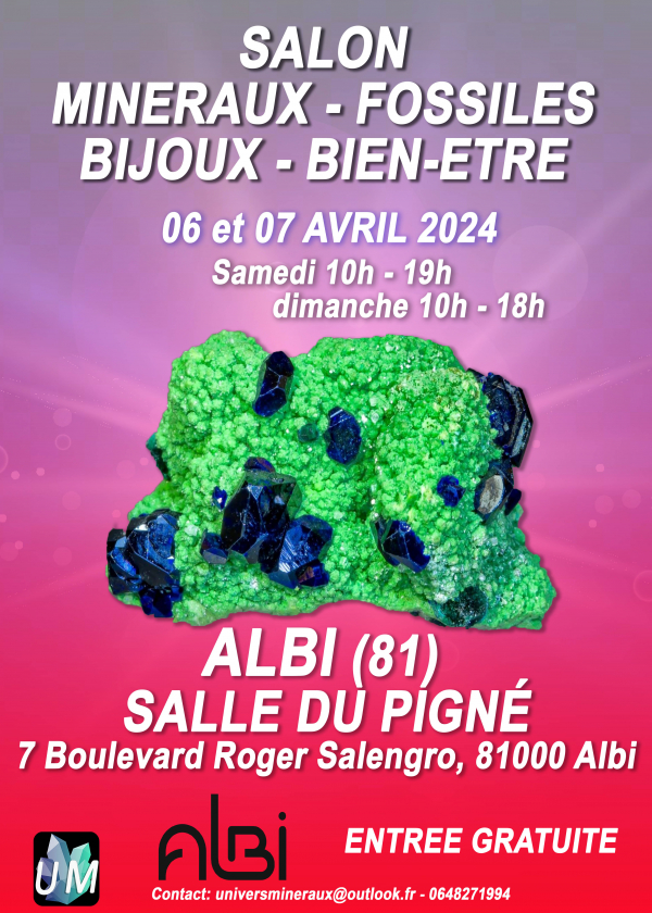 Mineraler, fossiler, designersmycken och välmående mässa.