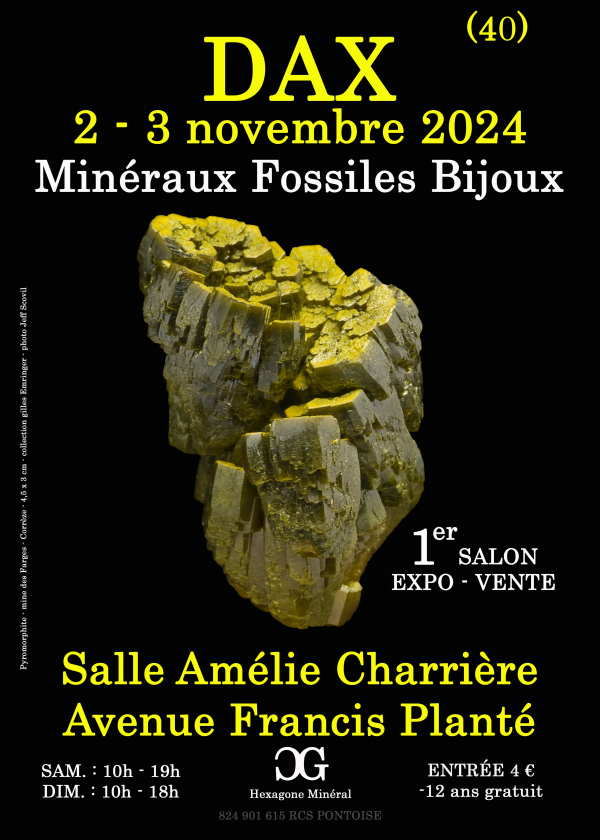 1:a DAX-SMYCKEN FOSSILMINERALERUTSTÄLLNING