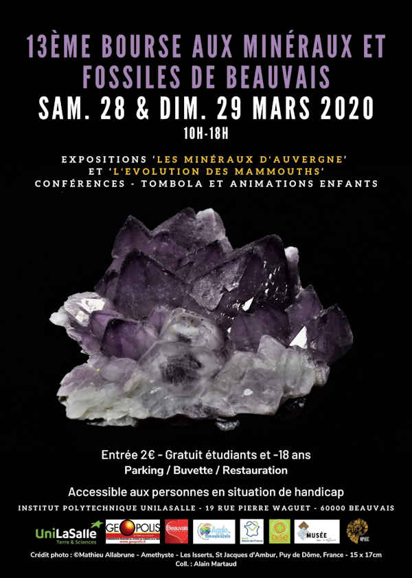 13: e mineral- och fossilmarknaden