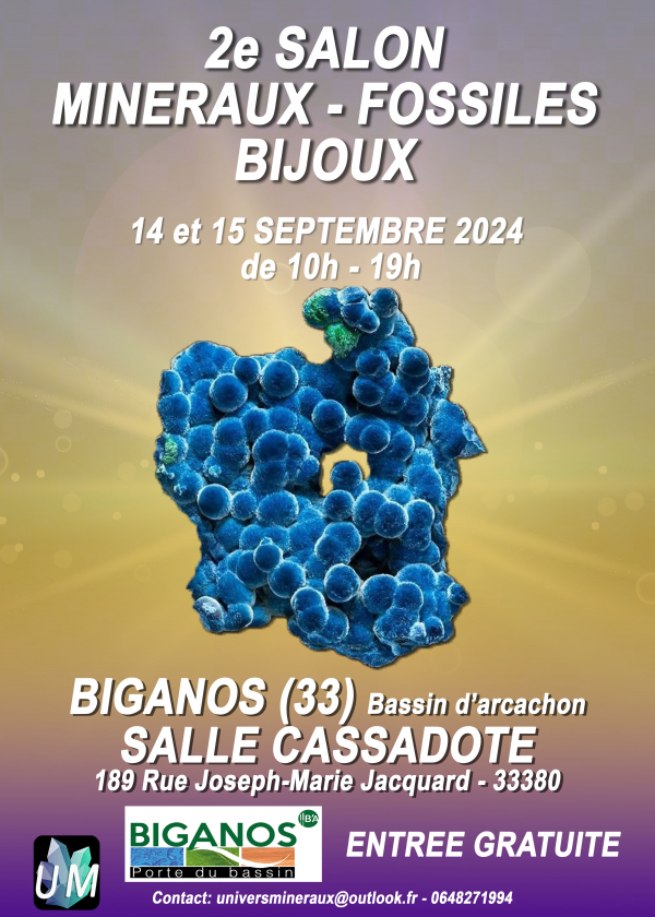 Mineraler, fossiler, designer smycken Show