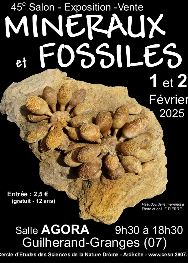 45:e Guilherand-Granges Minerals and Fossils Exchange