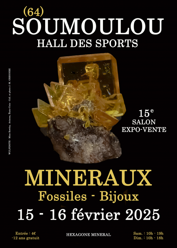 15:e Soumoulou mineral fossil smycken show