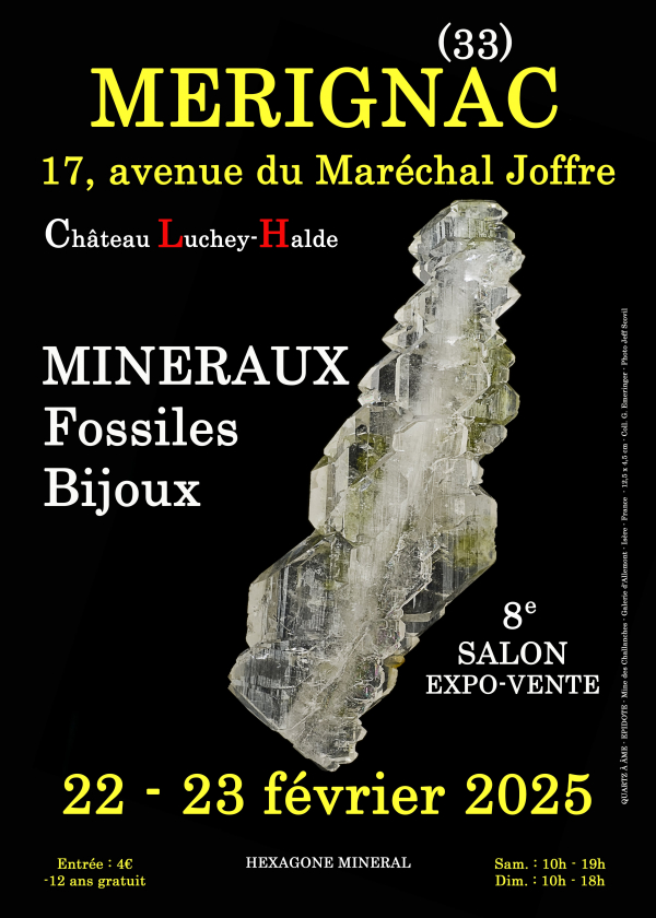 8:e Mérignac minerals fossila smyckeshow