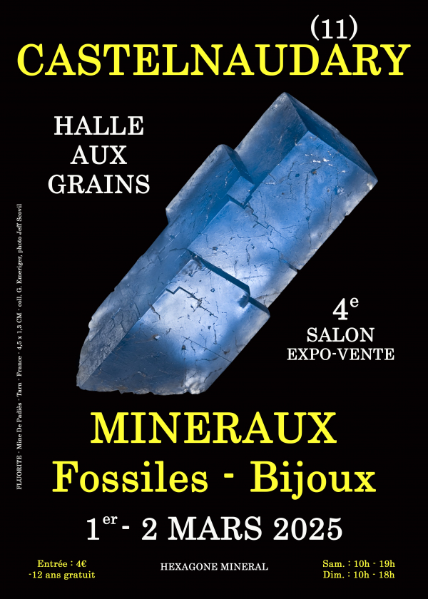 4:e Castelnaudary mineral fossila smycken show