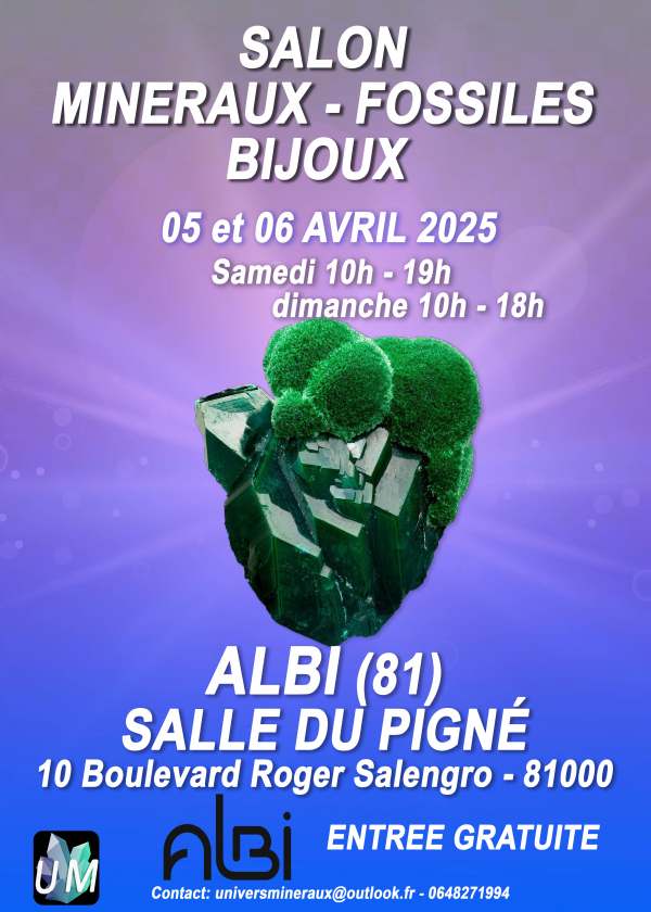 Mineral, fossil och designer smycken utställning.