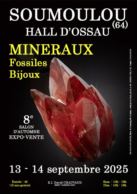 8:e höstens mineral-, fossil- och smyckesutställning