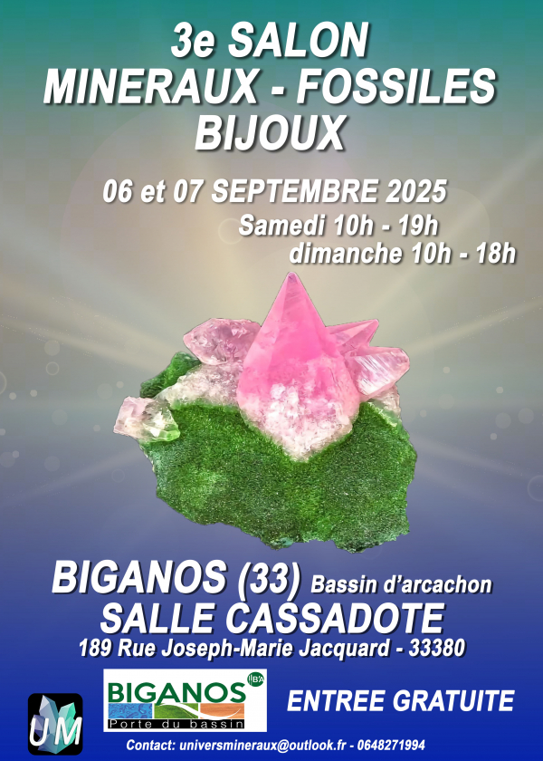 Utställning av mineral-, fossil- och designersmycken.