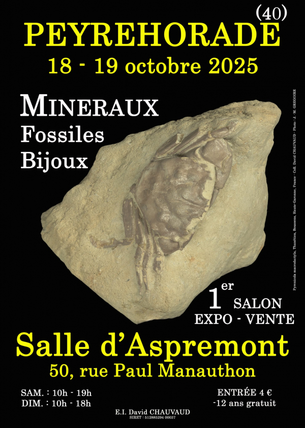 1:a MINERALER OCH FOSSILS SMYCKESUTSTÄLLNINGEN