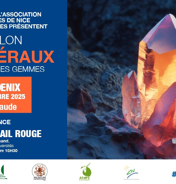 40:e mineral-, fossil- och ädelstensutställningen