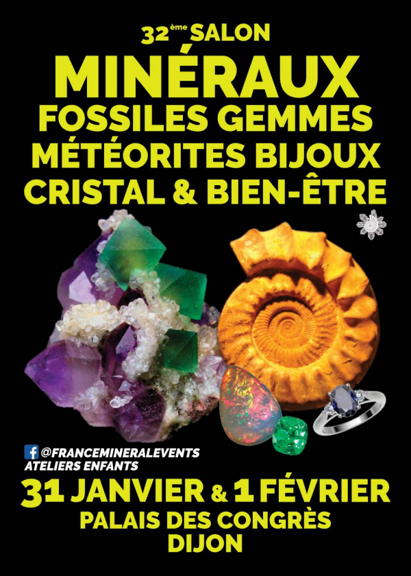 32:a Dijon Mineral Show - Kristaller, fossiler, ädelstenar, meteoriter, smycken och välbefinnande