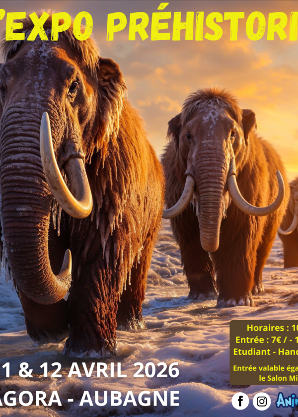 Den förhistoriska utställningen