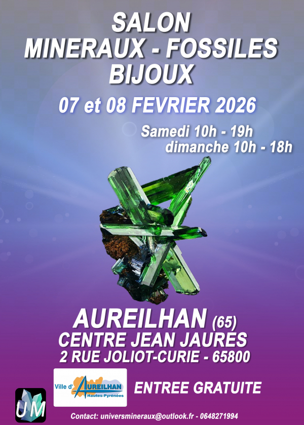 Utställning av mineraler, fossiler och designersmycken.