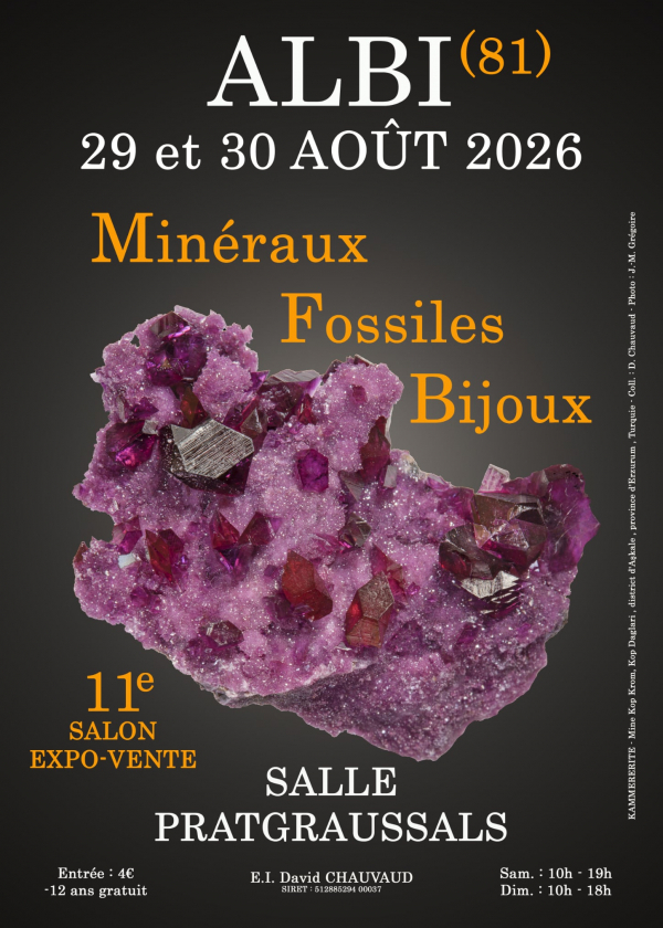 11:e mineral-, fossil- och smyckesutställningen