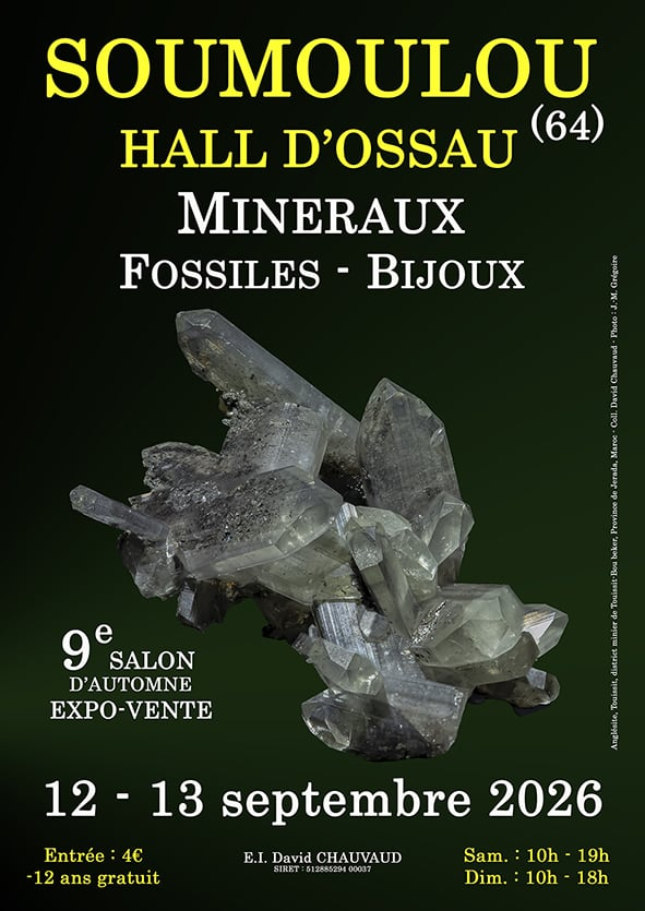 9:e mineral-, fossil- och smyckesutställningen