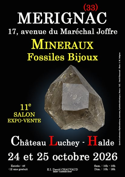 11:e mineral-, fossil- och smyckesutställningen