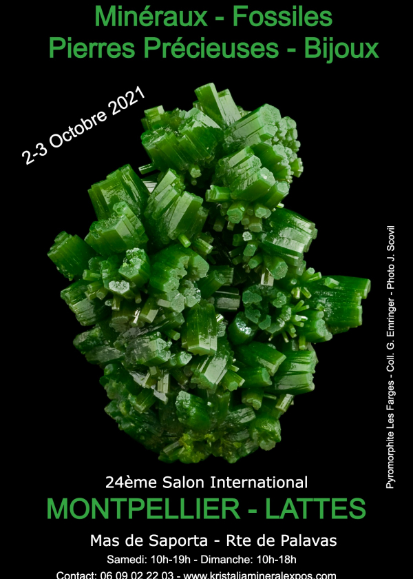 24: e internationella fossila mineralsmycken