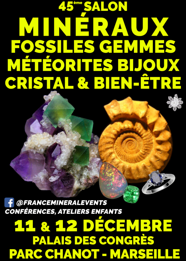 45:e mineralmässan Marseille - Mineraler, fossiler, ädelstenar, smycken, kristall och välbefinnande