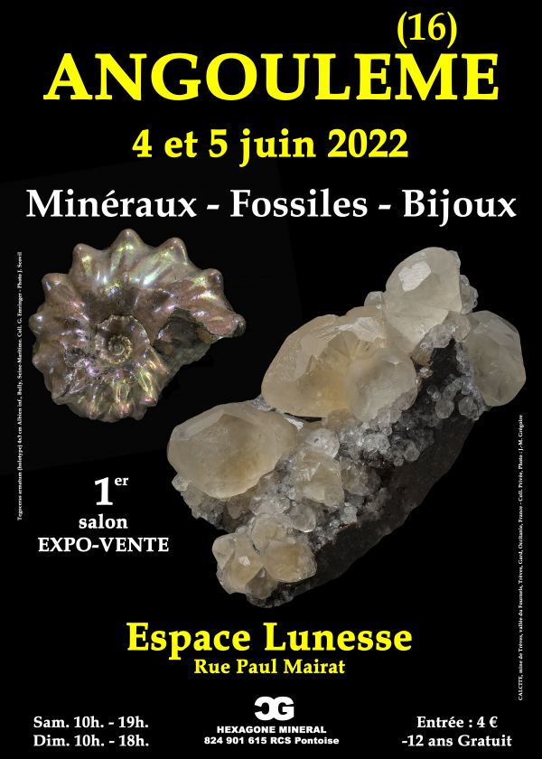 Första mässan för fossila mineraler och smycken