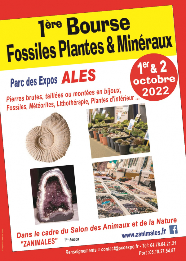 Första fossil-, växt- och mineralutbytet av Alés Salon ZANIMALES (Gard)