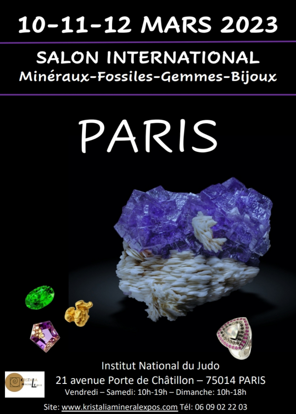 Mineraler, fossiler, Ädelstensmässan, Paris Institut du Judo