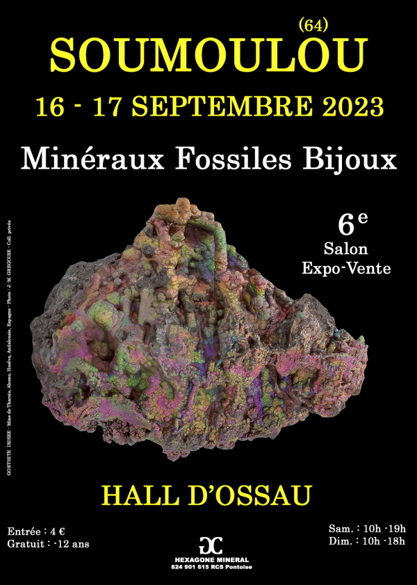 6:e Soumoulou Fall Smycken Fossil Minerals Fair