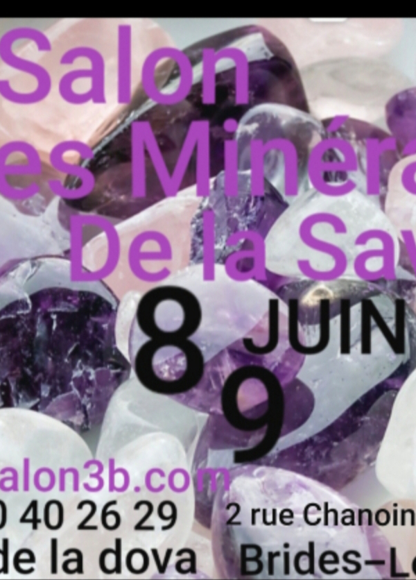 Savoie Minerals Fair i Brides-les-Bains