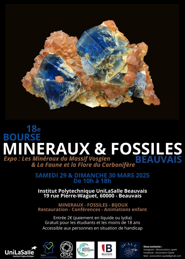 Beauvais Minerals and Fossils Exchange (18:e upplagan)