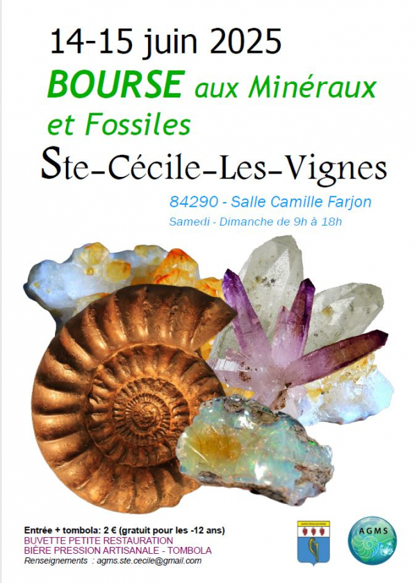 Mineraler och fossiler utbyter