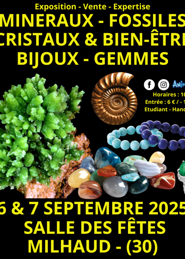 Mineraler, fossiler, kristaller och välbefinnande smyckes- och ädelstensmässa i Nîmes Mineraler, fossiler, kristaller och välbefinnande smyckes- och ädelstensmässa i Nîmes