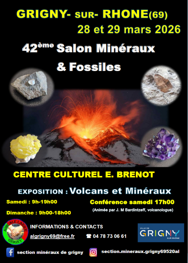42:a mineral- och fossilutställningen 42:a mineral- och fossilutställningen