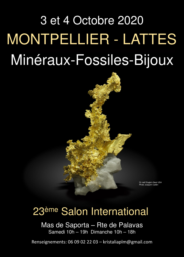 International Exchange Minerals Fossils klippa stenar Lattes Montpellier