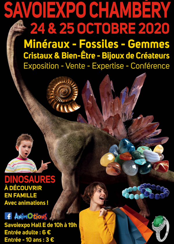 Minéralexpo Chambéry Minerals Fossils Pärlor