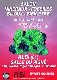 Mineraler, fossiler, designersmycken och välmående mässa.