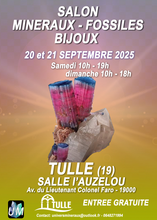 Utställning av mineral-, fossil- och designersmycken.