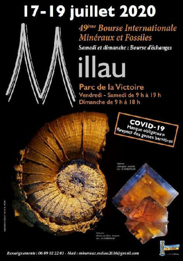 Fossil Minerals stipendium och Millau utbytesstipendium 2020