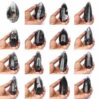 Orthoceras fossil från Marocko Orthoceras fossil från Marocko
