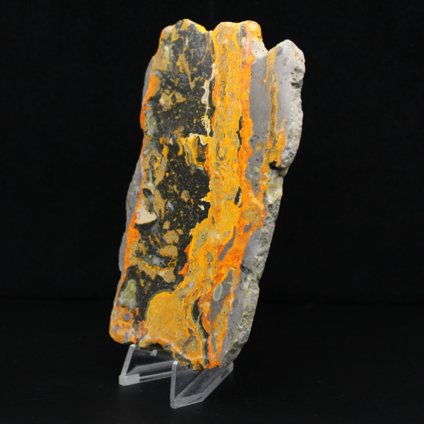 Indonesisk humlajaspis: stor polerad platta