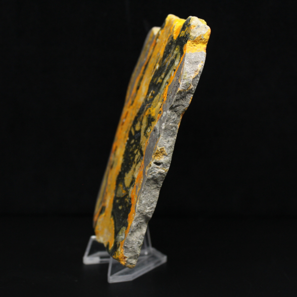 Indonesisk humlajaspis: stor polerad platta