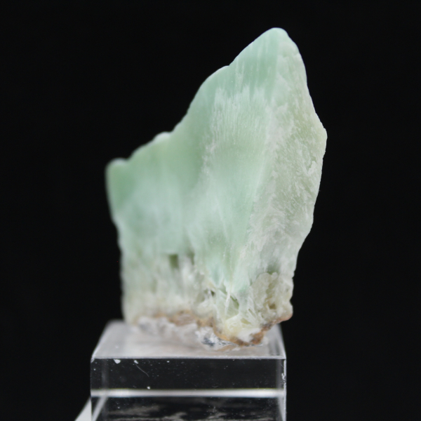 Grön Aragonit skiva för mineralsamling