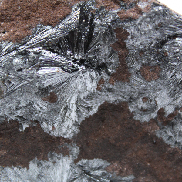 Stor samling av kristalliserad pyrolusit