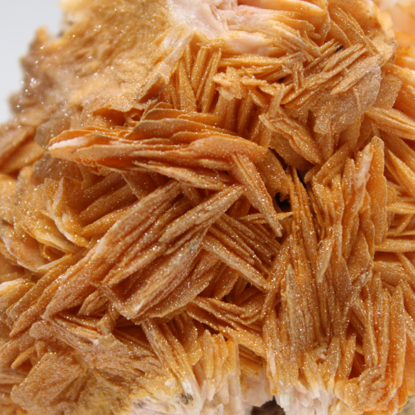 Kompakt orange barytprov från Marocko