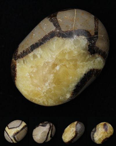 Septariska stenar Madagaskar collection February 2023