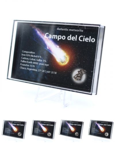 Campo del Cielo meteoriter Argentina collection February 2024