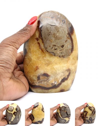 Septarian polis Madagaskar collection March 2025