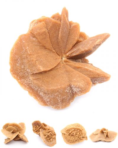 Ökenros Marokko collection February 2026 Ökenros Marokko collection February 2026