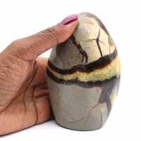 Polerad septaria